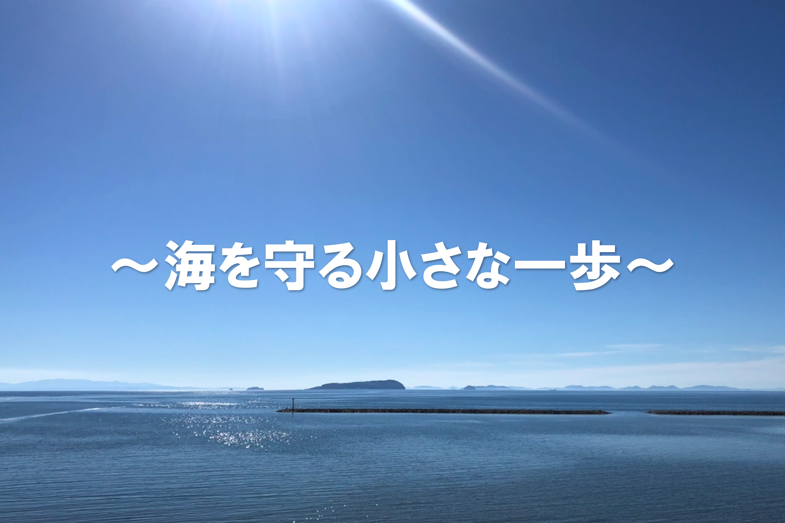 「せとうちクリーンアップ in 三豊干拓」に参加しました。
