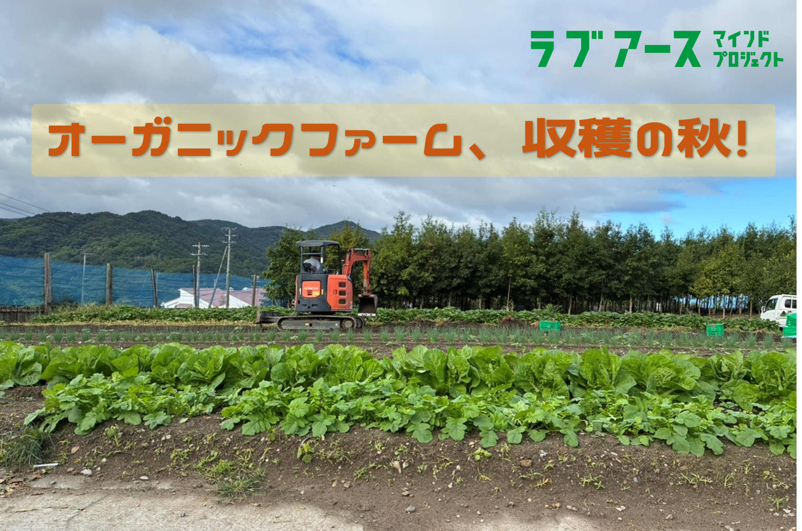 オーガニックファームで芋掘りを行いました。